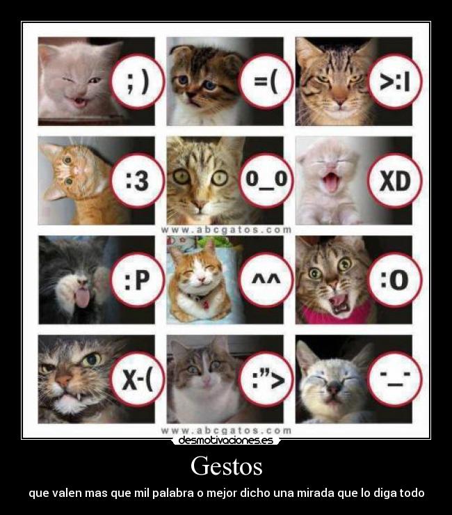 carteles que opinan desmotivaciones