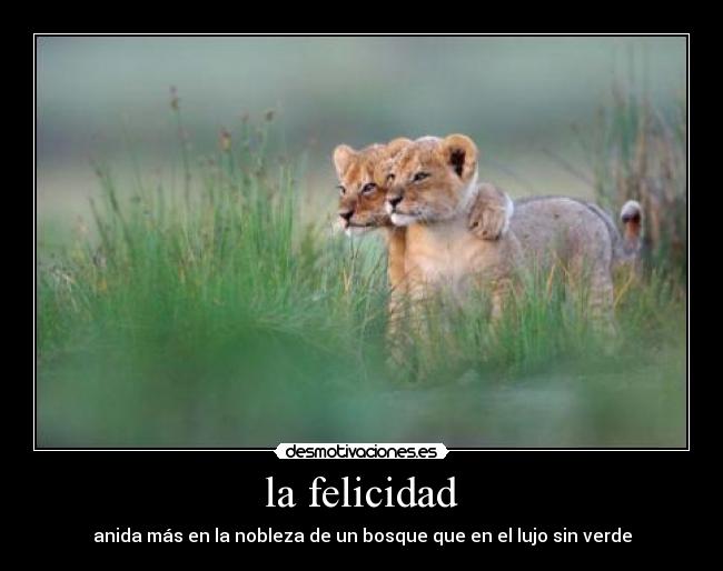 la felicidad -