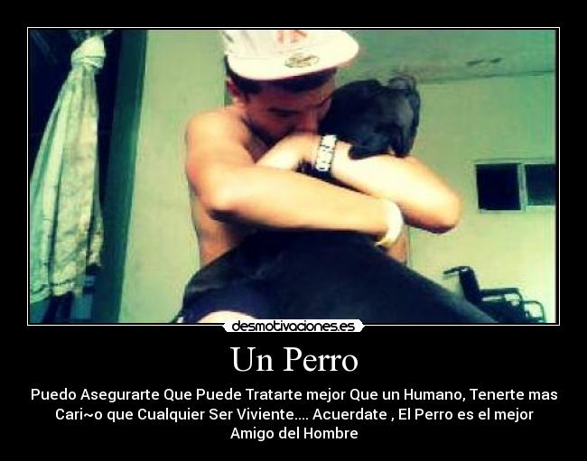 Un Perro - Puedo Asegurarte Que Puede Tratarte mejor Que un Humano, Tenerte mas
Cari~o que Cualquier Ser Viviente.... Acuerdate , El Perro es el mejor
Amigo del Hombre