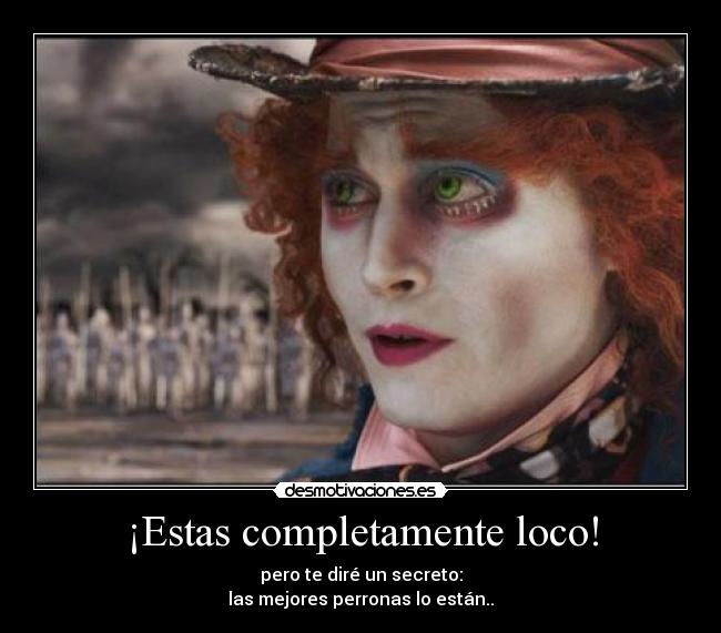 ¡Estas completamente loco! - 