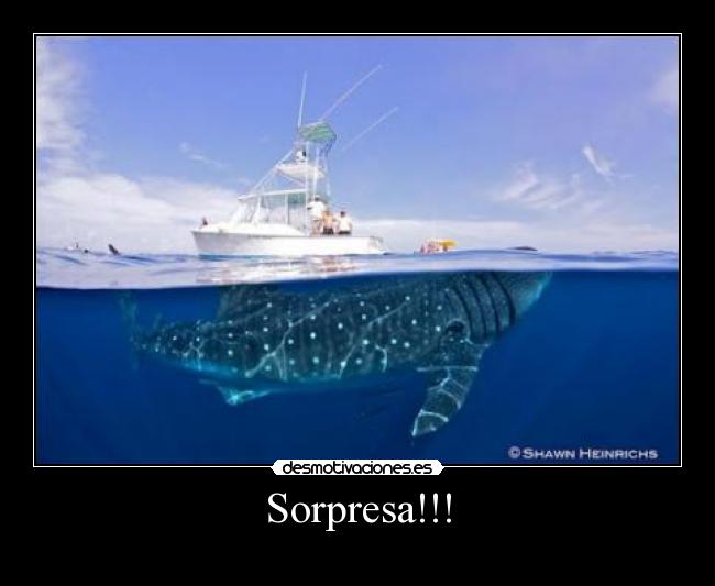 Sorpresa!!! -