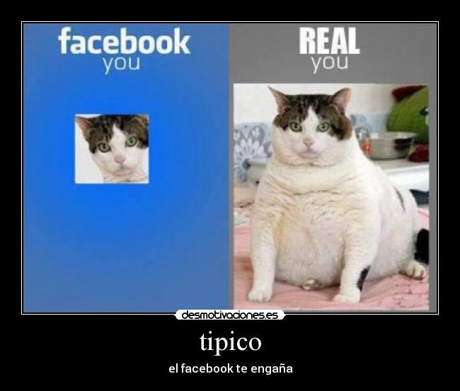 tipico - el facebook te engaña