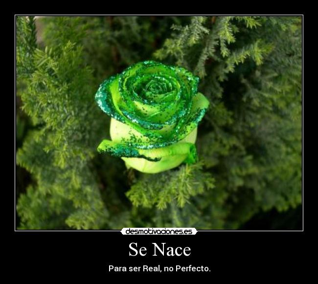 Se Nace - Para ser Real, no Perfecto.