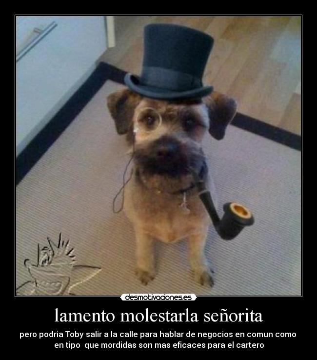 lamento molestarla señorita - pero podria Toby salir a la calle para hablar de negocios en comun como
en tipo que mordidas son mas eficaces para el cartero