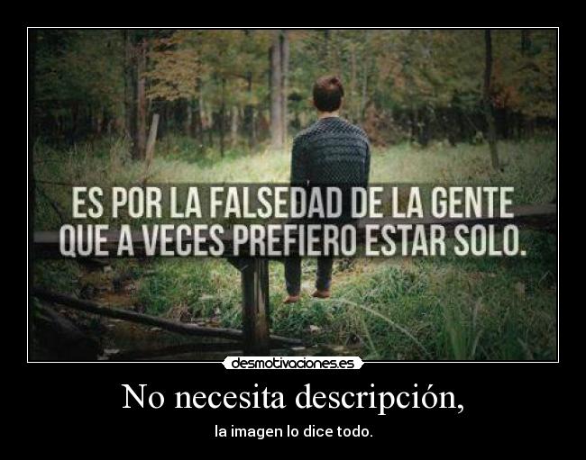 No necesita descripción, - la imagen lo dice todo.