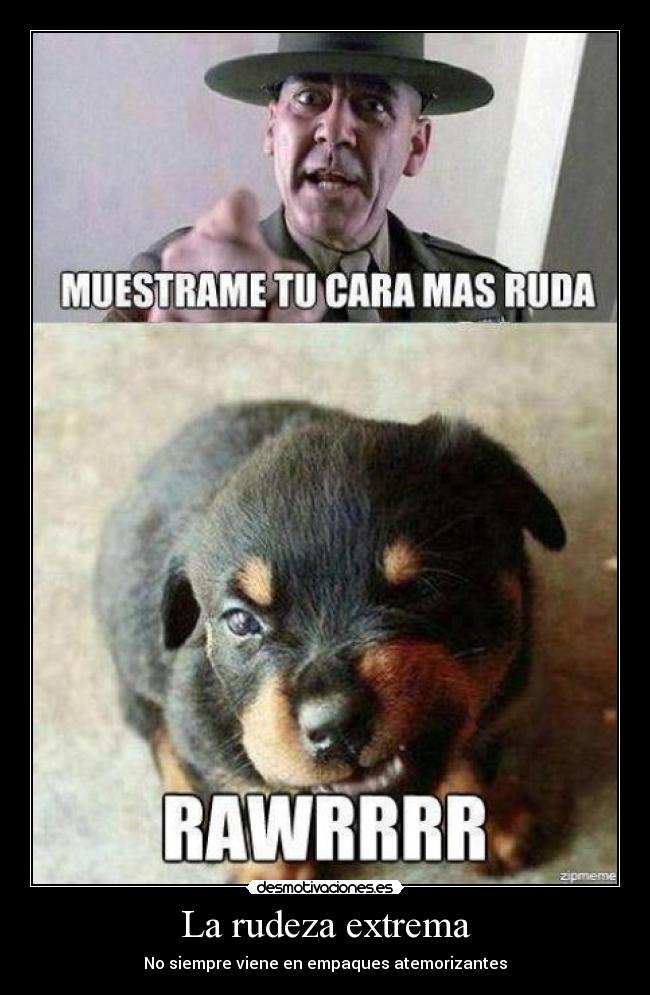 La rudeza extrema - No siempre viene en empaques atemorizantes