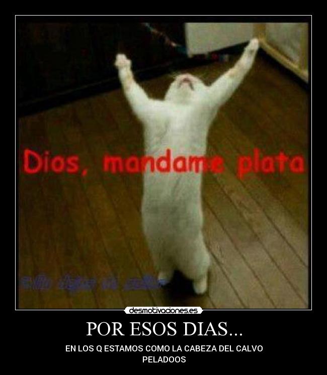 POR ESOS DIAS... - EN LOS Q ESTAMOS COMO LA CABEZA DEL CALVO
PELADOOS