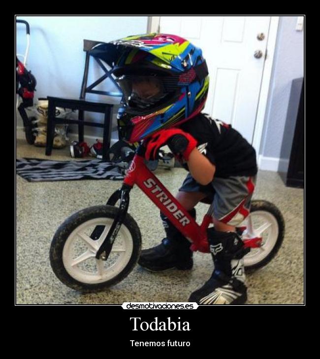 Todabia - 