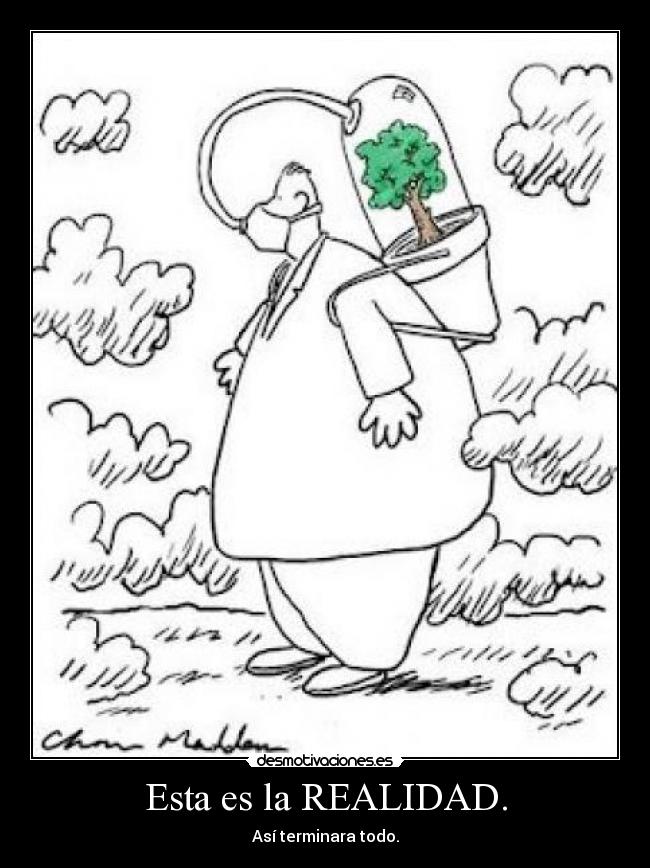 Esta es la REALIDAD. -