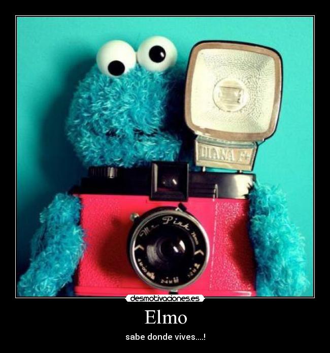 Elmo - sabe donde vives....!
