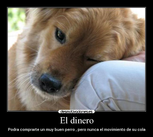 El dinero - Podra comprarte un muy buen perro , pero nunca el movimiento de su cola