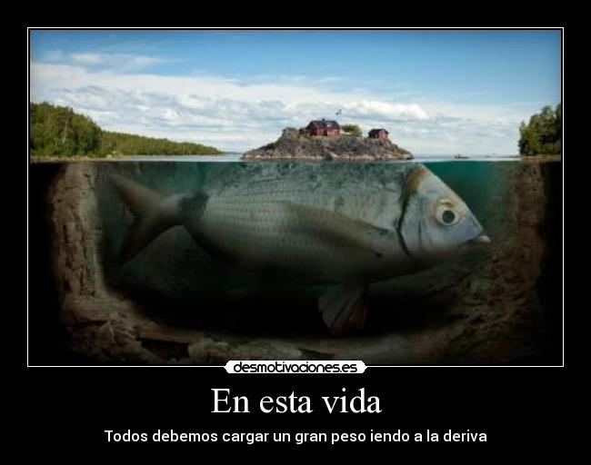 En esta vida - Todos debemos cargar un gran peso iendo a la deriva