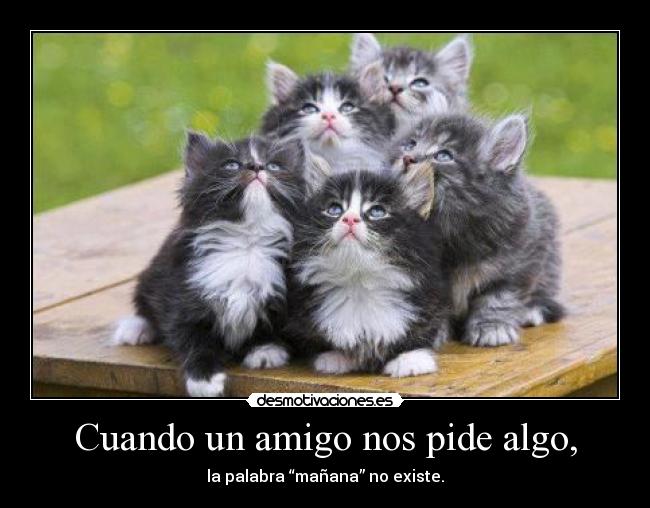 Cuando un amigo nos pide algo, - 