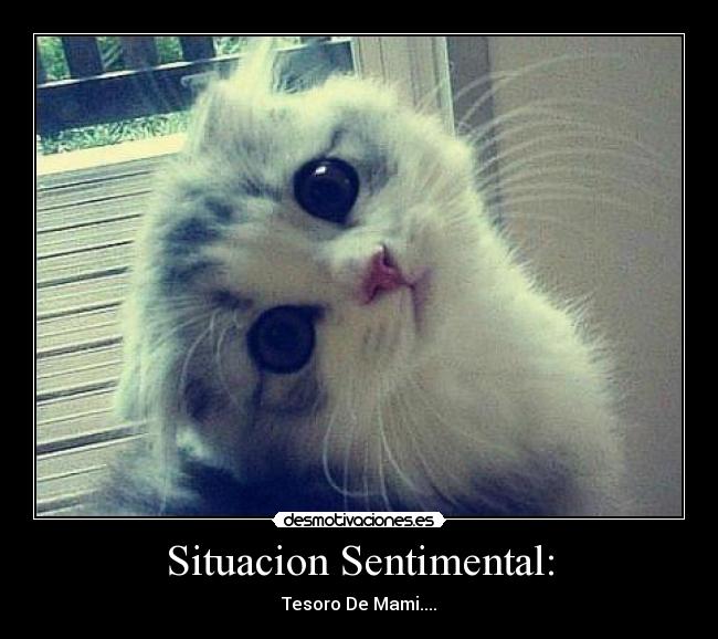 Situacion Sentimental: -