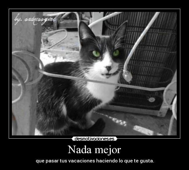 Nada mejor - que pasar tus vacaciones haciendo lo que te gusta.