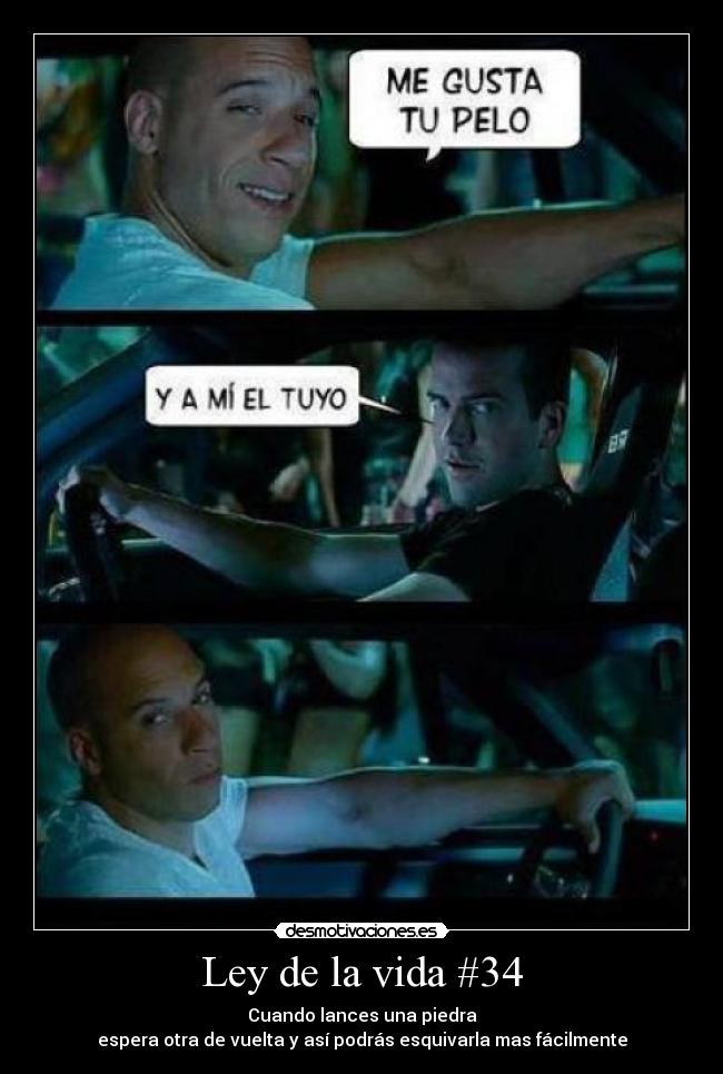 Ley de la vida #34 - Cuando lances una piedra
espera otra de vuelta y así podrás esquivarla mas fácilmente