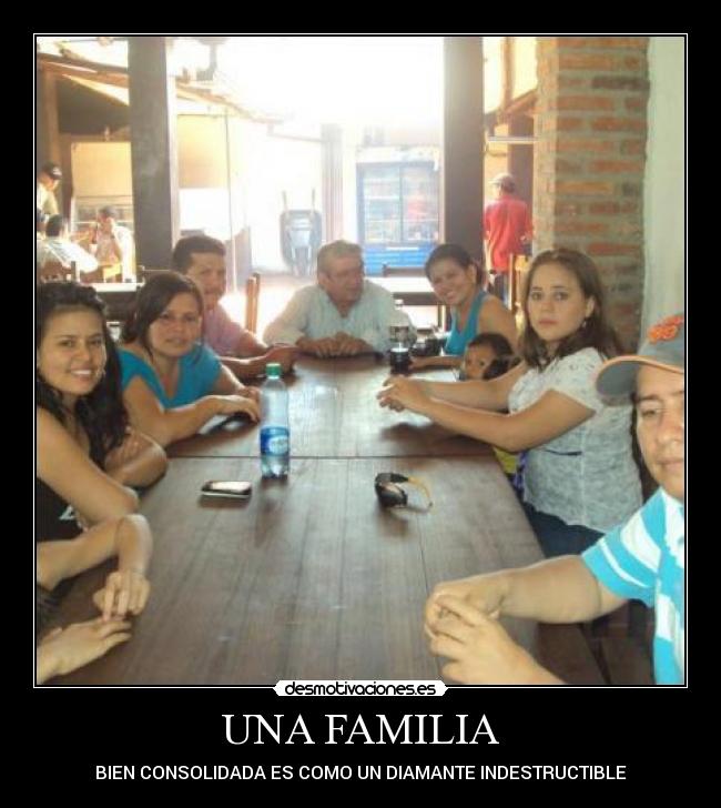 carteles familia zaida desmotivaciones