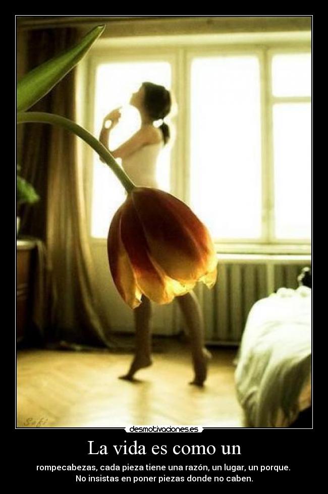 La vida es como un -