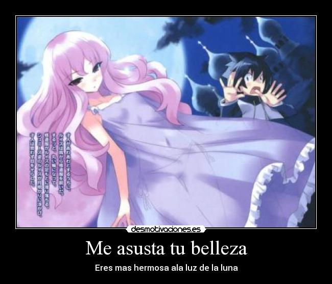 carteles zero tsukaima desmotivaciones