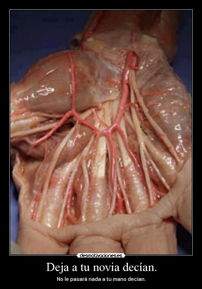 Deja a tu novia decían. - No le pasará nada a tu mano decían.
