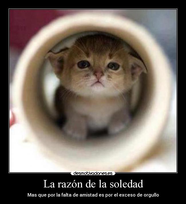 La razón de la soledad - 