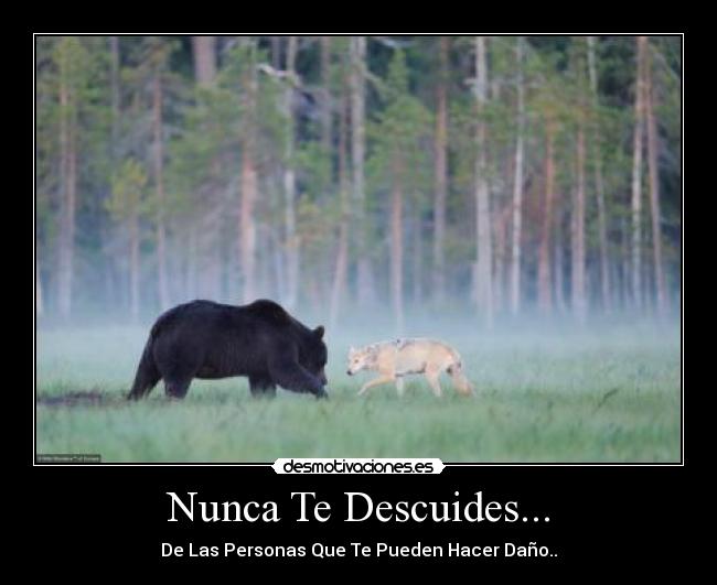 Nunca Te Descuides... - 