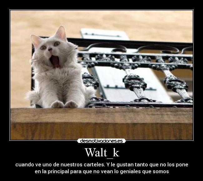 Walt_k - 