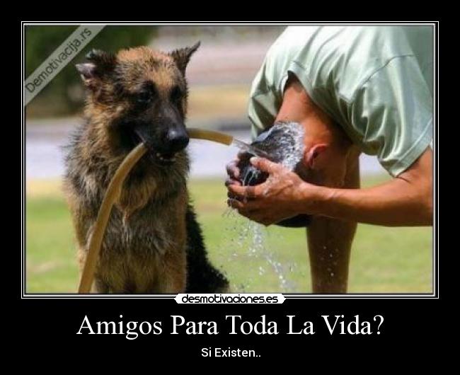 Amigos Para Toda La Vida? -