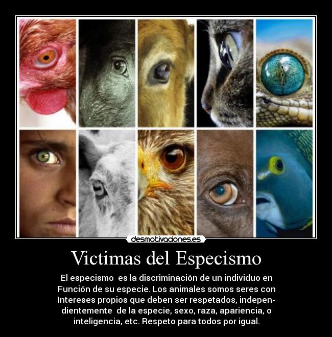 Victimas del Especismo - El especismo  es la discriminación de un individuo en
Función de su especie. Los animales somos seres con
Intereses propios que deben ser respetados, indepen-
dientemente  de la especie, sexo, raza, apariencia, o
inteligencia, etc. Respeto para todos por igual.