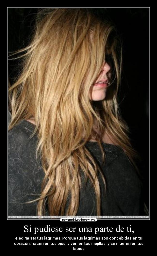 carteles avril lavignee avrileros sipuedieraelegirtserunapartedetseriatus lagrimas lagrima etc etc desmotivaciones