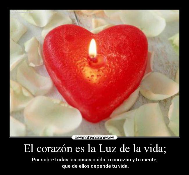 El corazón es la Luz de la vida; - Por sobre todas las cosas cuida tu corazón y tu mente;
que de ellos depende tu vida.