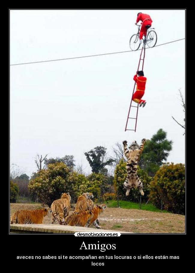 Amigos - aveces no sabes si te acompañan en tus locuras o si ellos están mas locos
