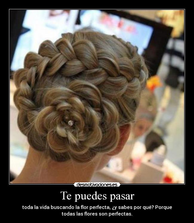 Te puedes pasar - toda la vida buscando la flor perfecta, ¿y sabes por qué? Porque
todas las flores son perfectas.