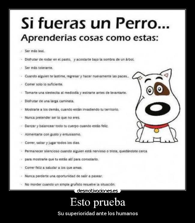 Esto prueba - Su superioridad ante los humanos