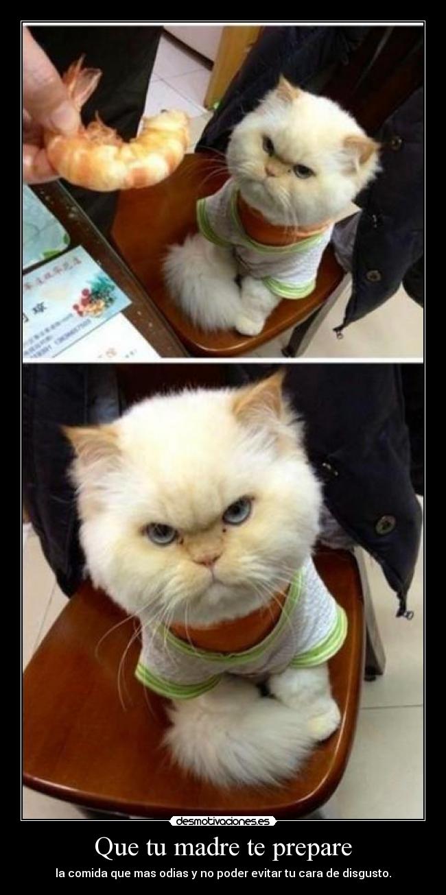 Que tu madre te prepare - la comida que mas odias y no poder evitar tu cara de disgusto.