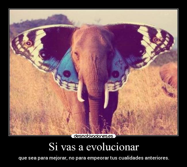 Si vas a evolucionar -