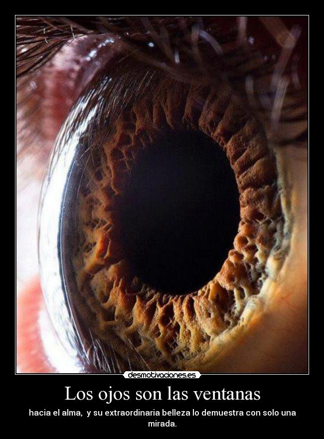 Los ojos son las ventanas -