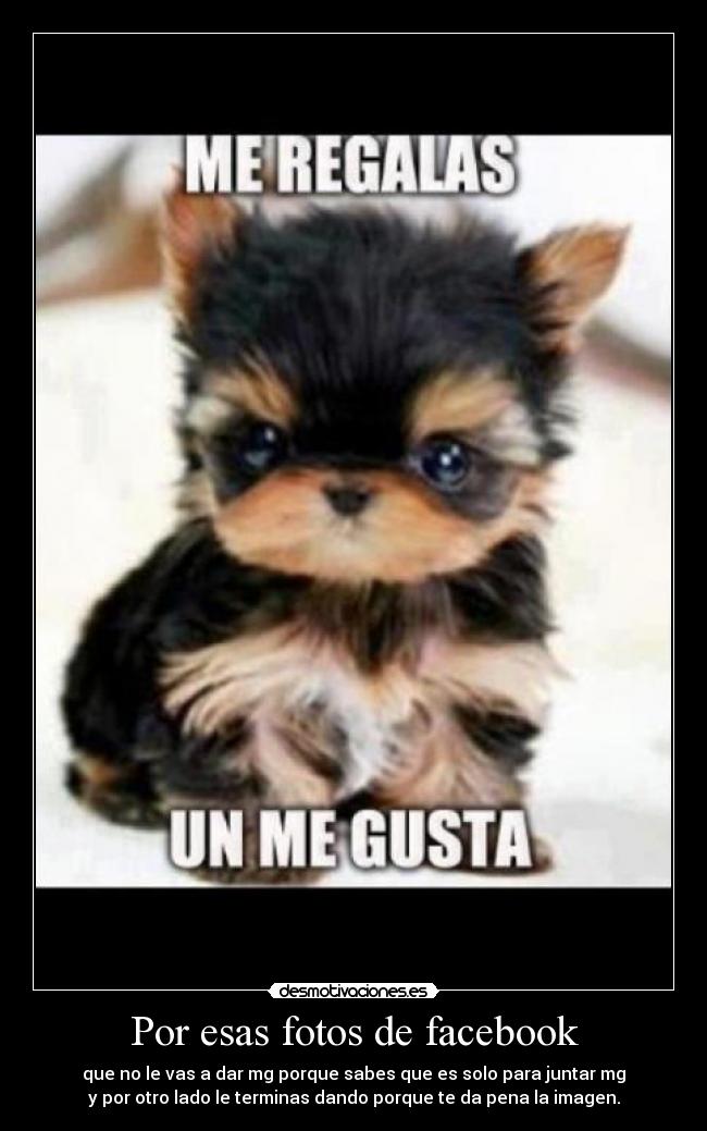 Por esas fotos de facebook - que no le vas a dar mg porque sabes que es solo para juntar mg
y por otro lado le terminas dando porque te da pena la imagen.