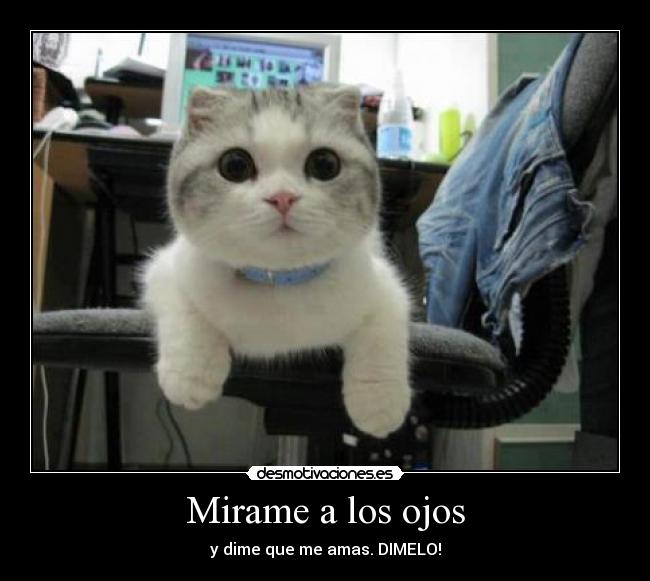 Mirame a los ojos - y dime que me amas. DIMELO!