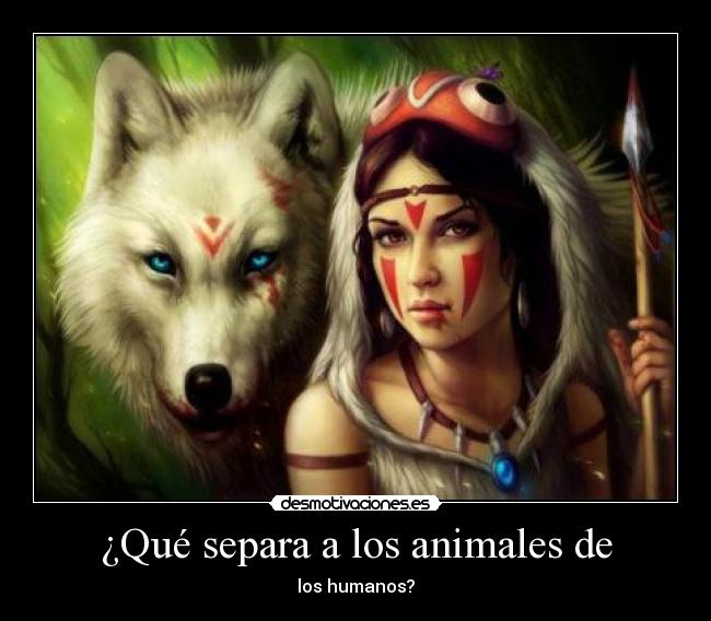 ¿Qué separa a los animales de - 