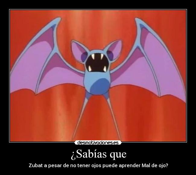 ¿Sabías que - Zubat a pesar de no tener ojos puede aprender Mal de ojo?