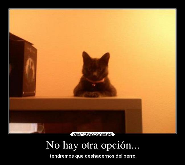 No hay otra opción... - 