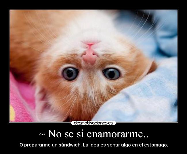 ~ No se si enamorarme.. - 