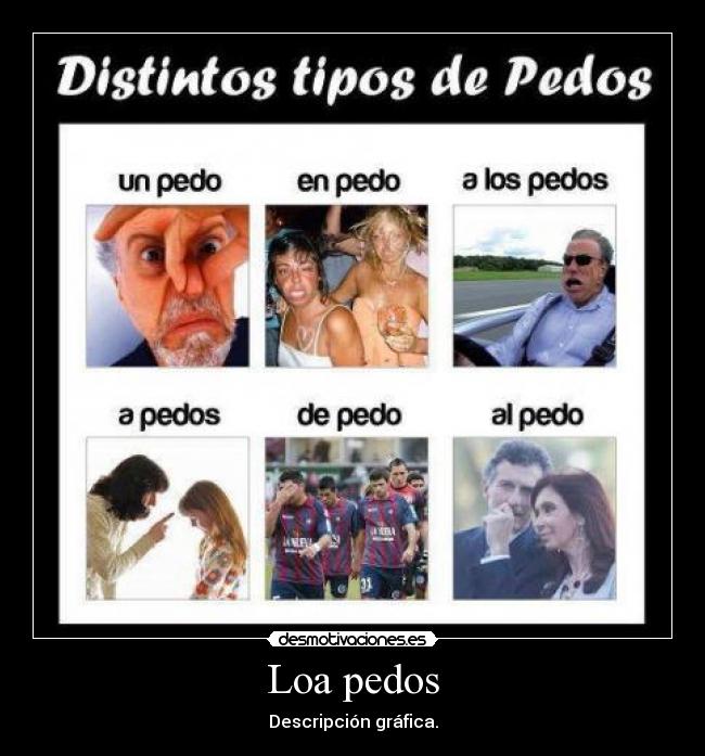 Loa pedos - Descripción gráfica.