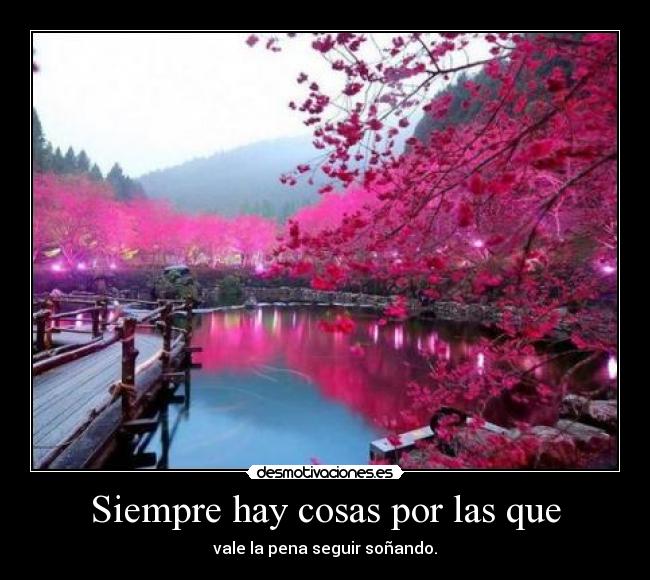 Siempre hay cosas por las que -