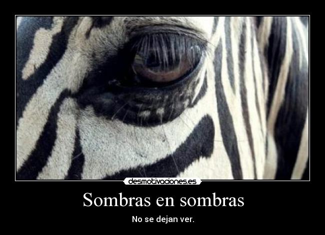 Sombras en sombras - No se dejan ver.