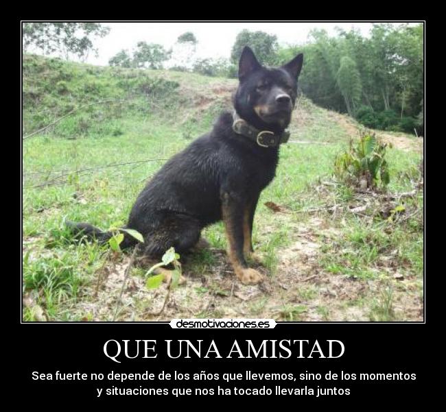QUE UNA AMISTAD -