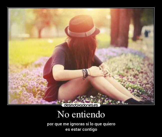 No entiendo -