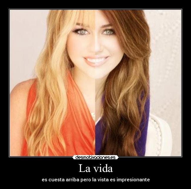 La vida - es cuesta arriba pero la vista es impresionante