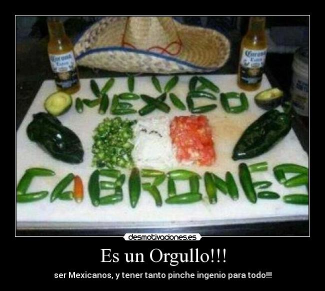 Es un Orgullo!!! - ser Mexicanos, y tener tanto pinche ingenio para todo!!!